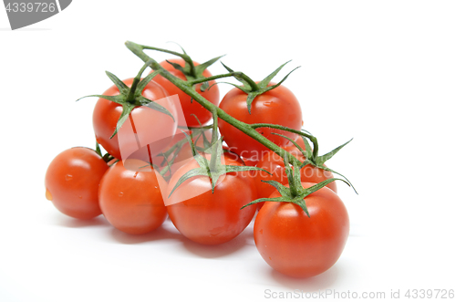 Image of Red cherry tomato