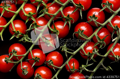 Image of Small red tomatoes