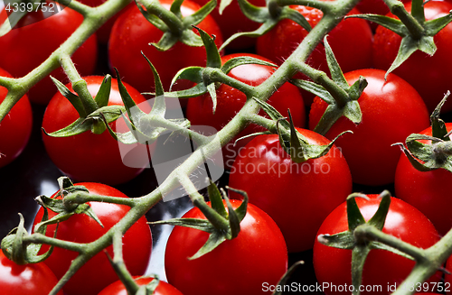 Image of Small red tomatoes