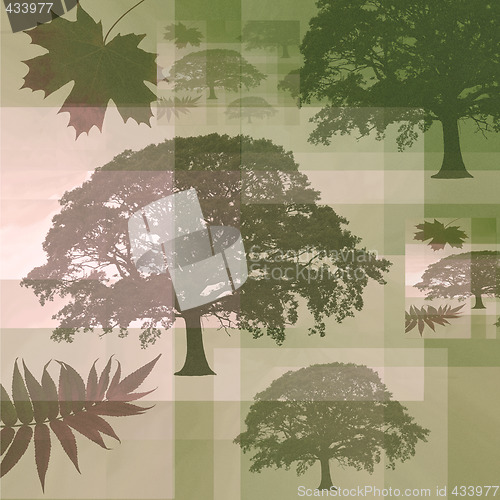 Image of Abstract Trees and Leaves