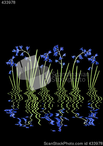 Image of Bluebell Reflections