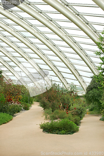 Image of Conservatory Interior