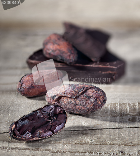 Image of Cocoa beans and piece of dark chocolate