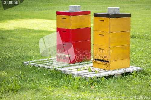 Image of two bee hives in the green grass
