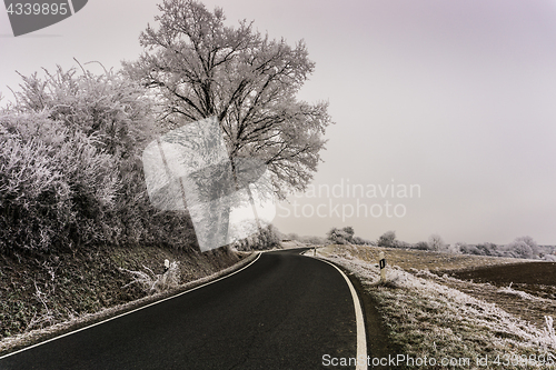 Image of Frosty Winter Landscape