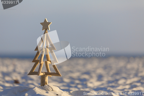 Image of Christmas Tree on the Beach early morning light