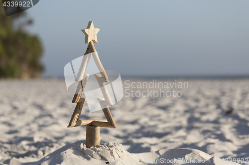 Image of Driftwood Christmas tree on the beach