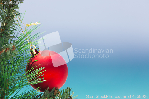 Image of Christmas bauble on a tree with beach background