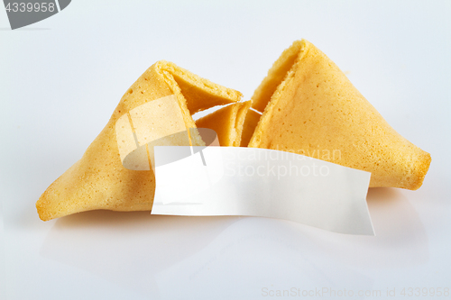 Image of Fortune Cookie