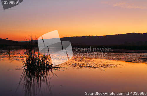 Image of Penrith Wetlands