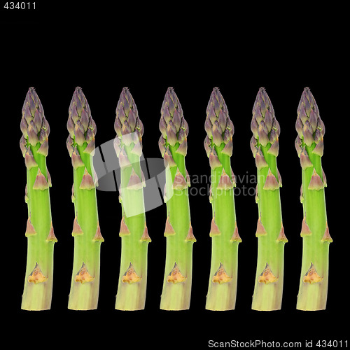 Image of Fresh Asparagus