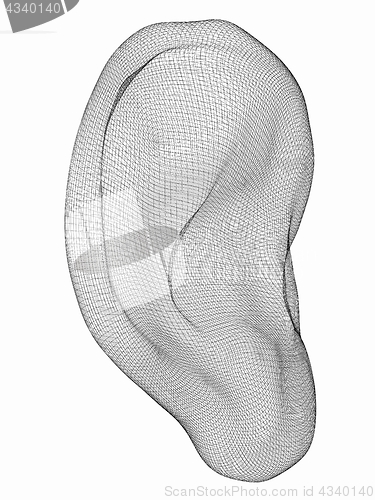 Image of Ear digital model. 3d illustration