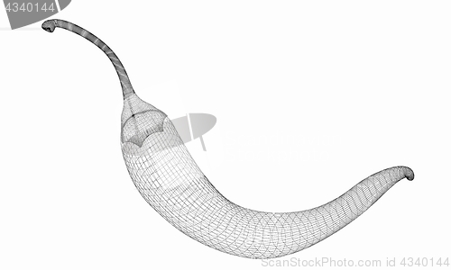 Image of chili pepper. 3d illustration