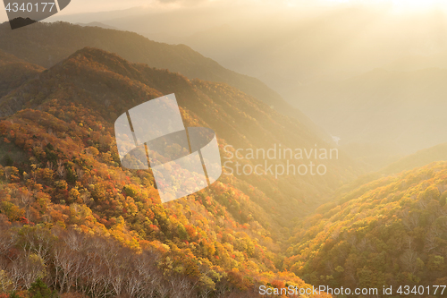 Image of Beautiful sunset landscape