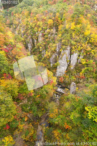 Image of Naruko canyon in Japan