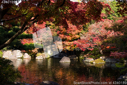 Image of Japanese garden at autumn season