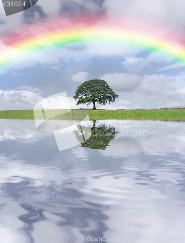 Image of Rainbow Day