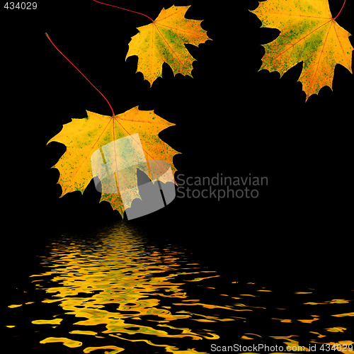 Image of Trio of Golden Leaves