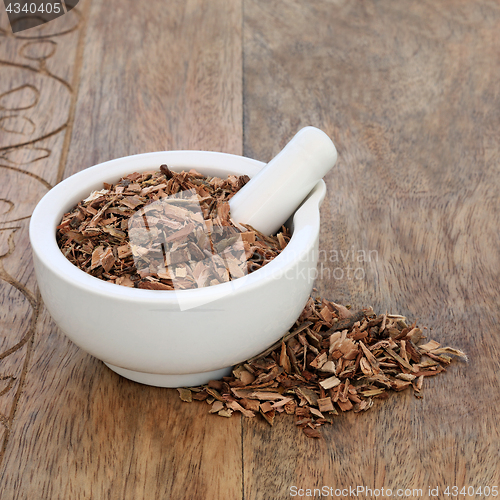 Image of White Willow Bark Herb