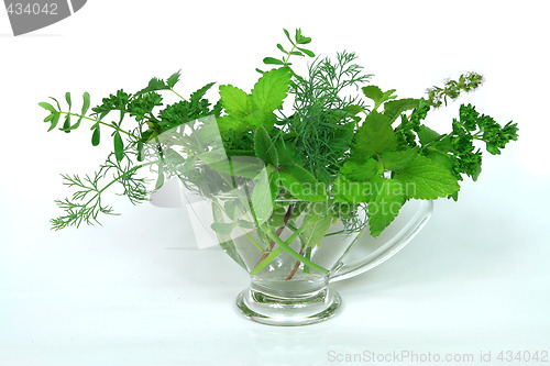 Image of Green ingredients