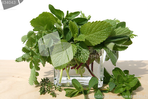 Image of Herbs