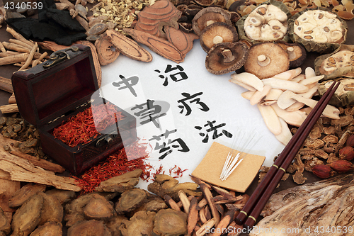 Image of Chinese Herbal Therapy