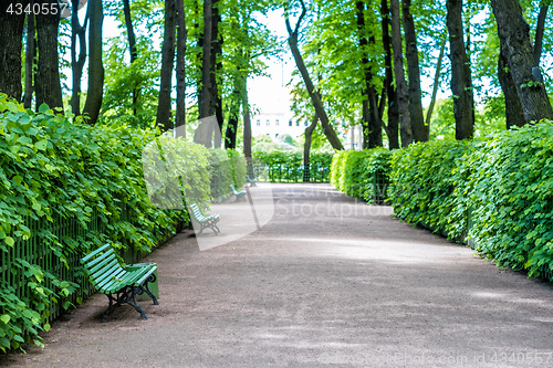 Image of Alley in Park Summer Garden, St.Petersburg