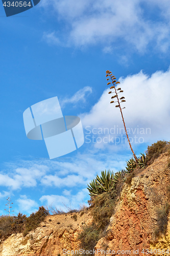 Image of  beach of Portimao