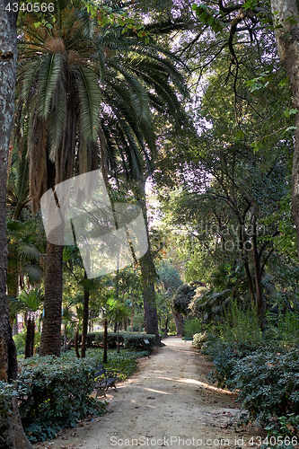 Image of Maria Luisa Park, Seville, Spain