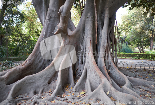 Image of Maria Luisa Park, Seville, Spain