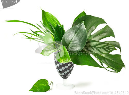 Image of bouquet of tropical leaves