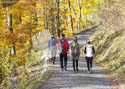 Image of Two Young couples with a dog, walking in a park in autumn forest