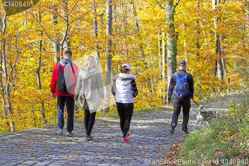 Image of Two Young couples with a dog, walking in a park in autumn forest