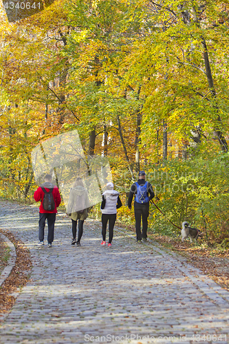 Image of Two Young couples with a dog, walking in a park in autumn forest