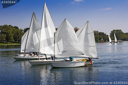 Image of Sports sailing in Lots of Small white boats on the lake 