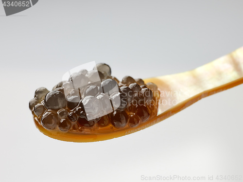 Image of  Mother of pearl caviar spoon