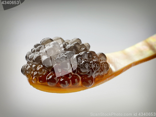 Image of  Mother of pearl caviar spoon