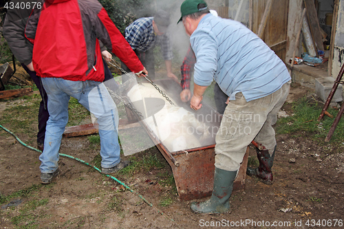 Image of Traditional home made pig slaughtering in rural