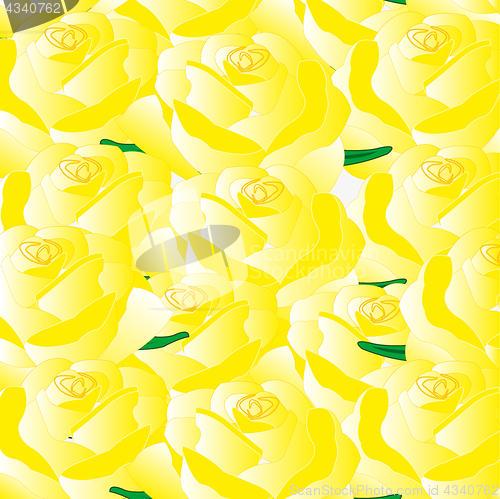Image of Background from roses yellow