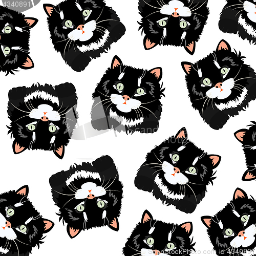 Image of Black cats on white background