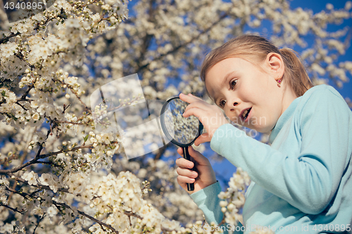 Image of Happy little girl exploring nature with magnifying glass at the 