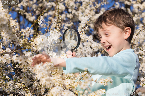 Image of Happy little boy exploring nature with magnifying glass at the d