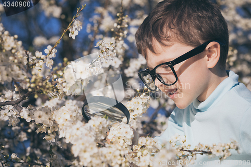 Image of Happy little boy exploring nature with magnifying glass at the d