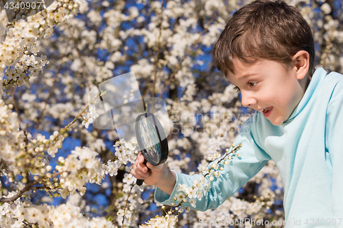 Image of Happy little boy exploring nature with magnifying glass at the d