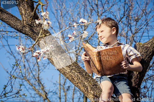 Image of One little boy reading a book on a blossom tree. 