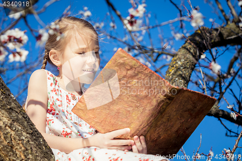 Image of One little girl reading a book on a blossom tree.