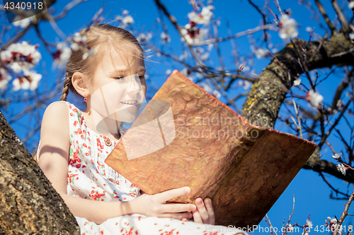 Image of One little girl reading a book on a blossom tree.