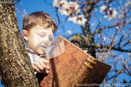 Image of One little boy reading a book on a blossom tree.