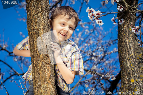 Image of One little boy sitting on a blossom tree.