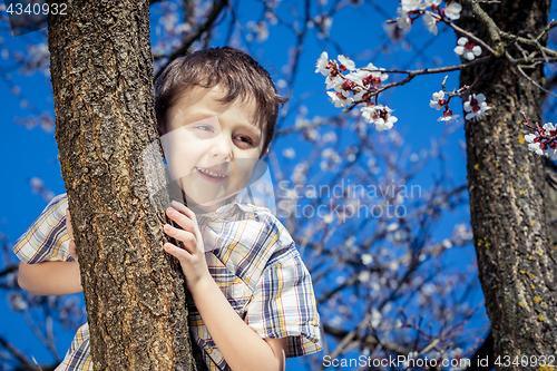 Image of One little boy sitting on a blossom tree.